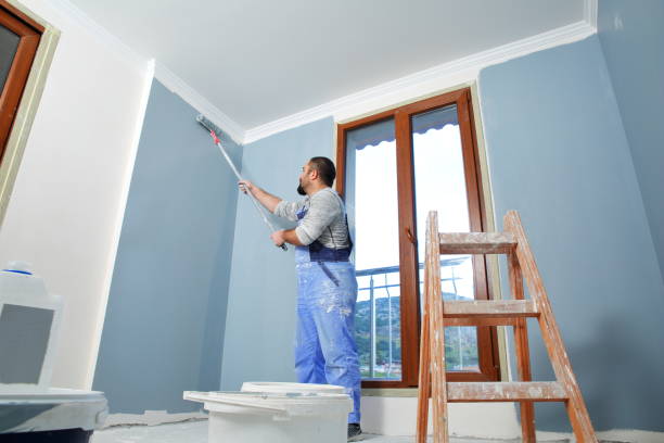 Best Eco-Friendly and Low-VOC Painting  in Alexandria, MN