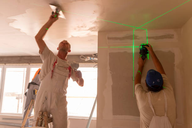 Best Drywall Installation  in Alexandria, MN