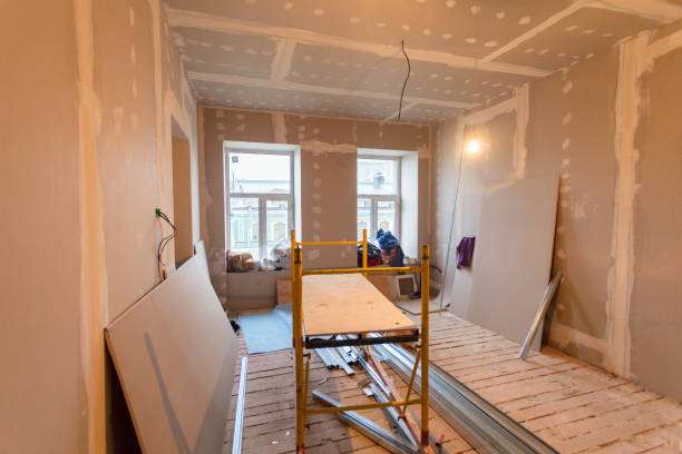 Best Drywall Removal and Disposal  in Alexandria, MN